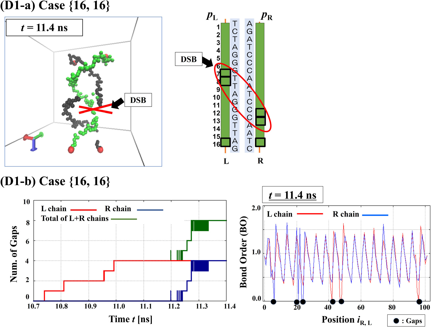 Reactive molecular dynamics simulation on DNA double-strand breaks ...