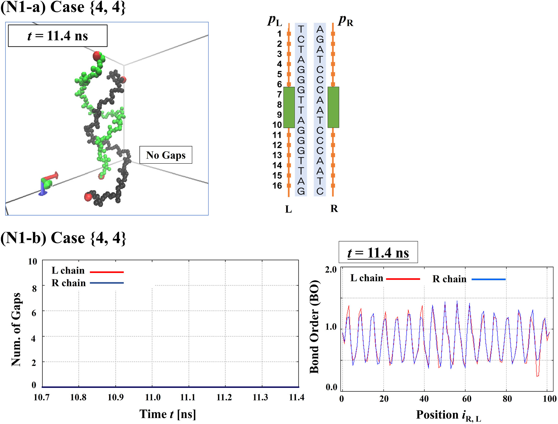 Reactive molecular dynamics simulation on DNA double-strand breaks ...