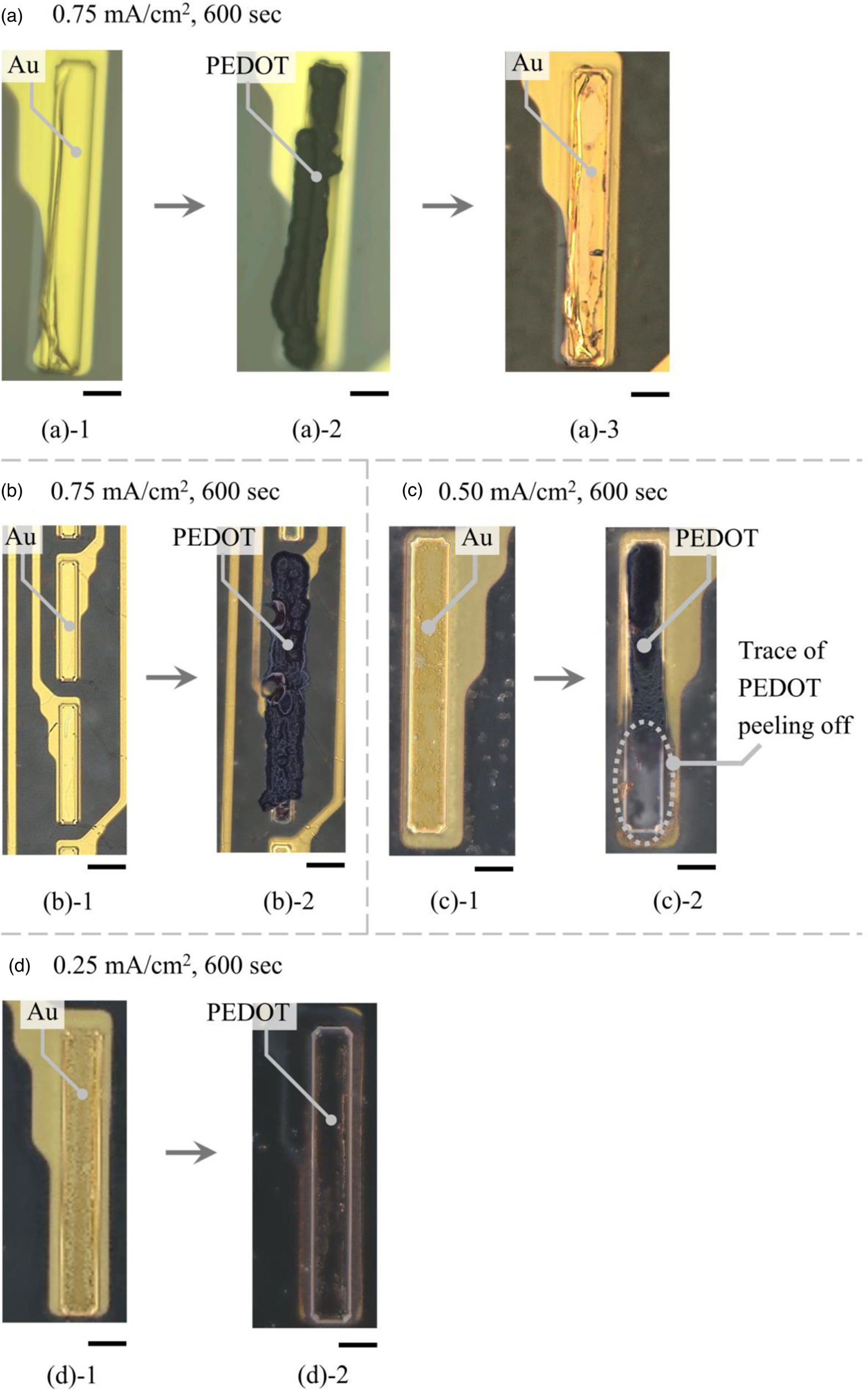 Neural Wraps Fabrication and evaluation of Wrap Around Neural-Pass to record and ...