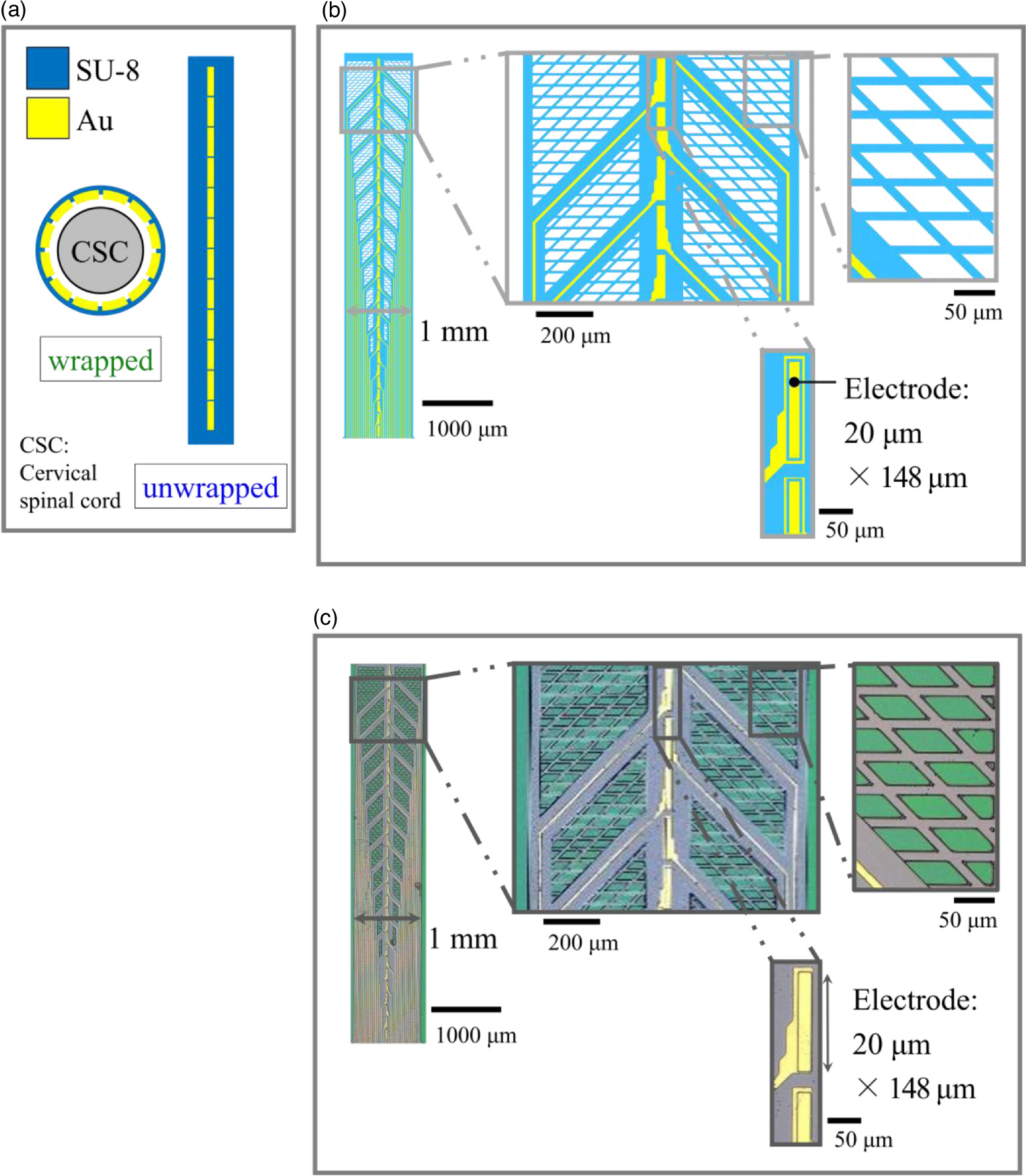 Neural Wraps Fabrication and evaluation of Wrap Around Neural-Pass to record and ...