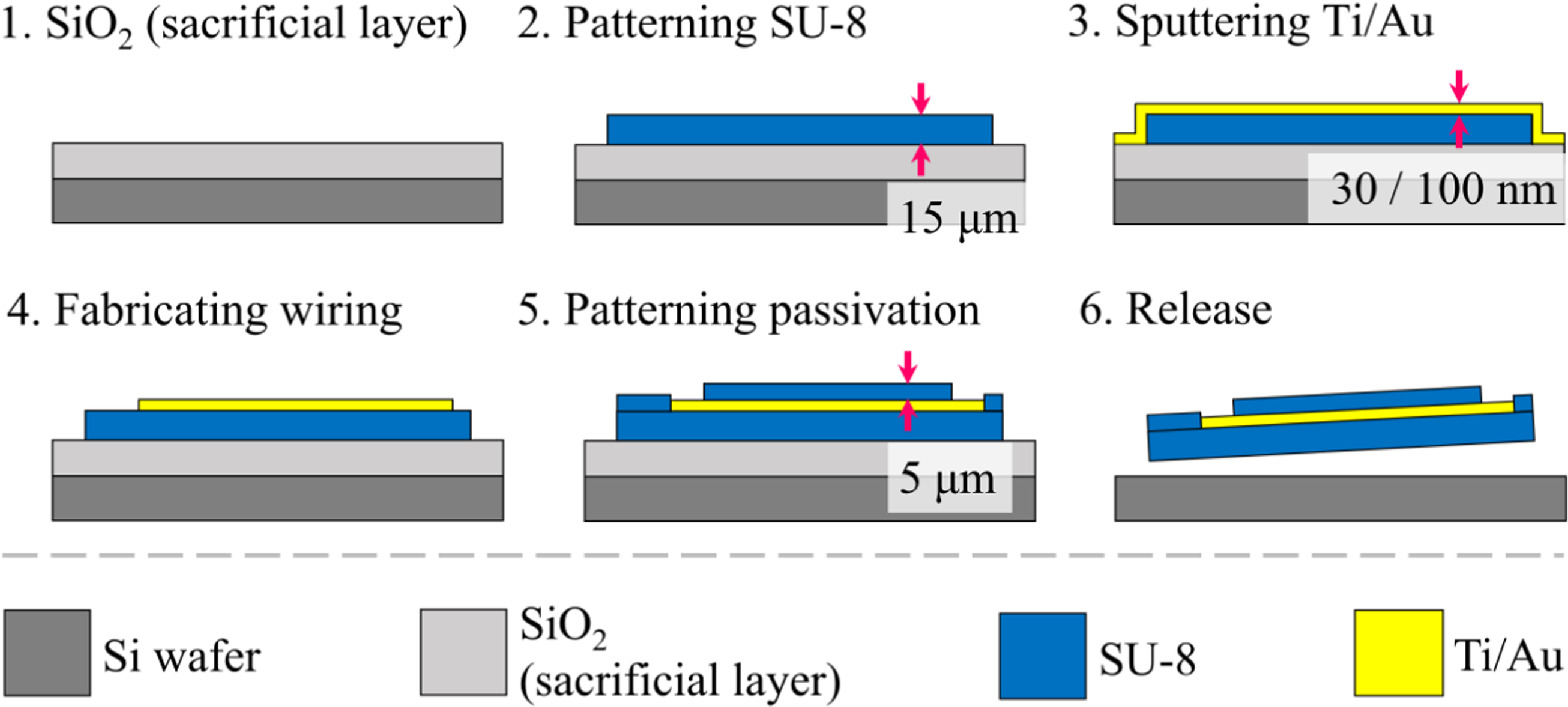 Neural Wraps Fabrication and evaluation of Wrap Around Neural-Pass to record and ...