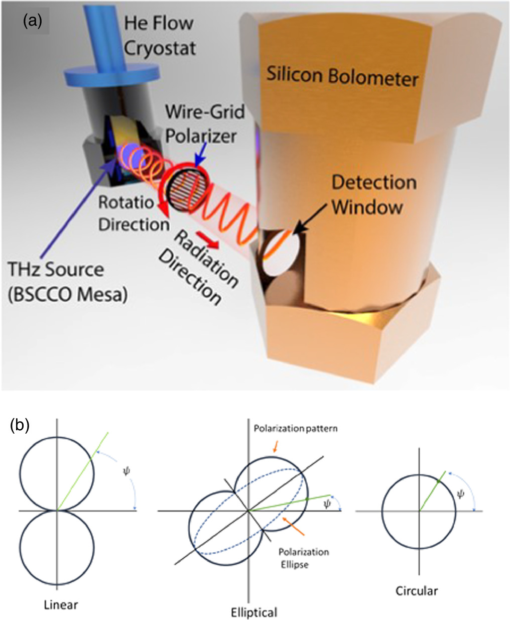 洋書 Radiation of Nonsinusoidal Electromag Radiation of Nonsinusoidal Electromag