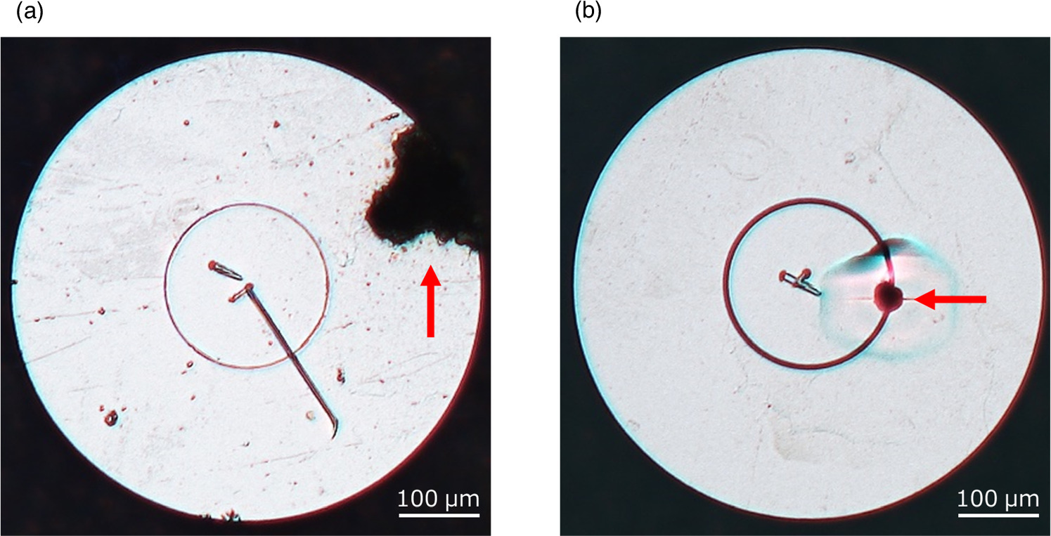 A simulation study of vertical Ga2O3 Schottky barrier diodes using ...