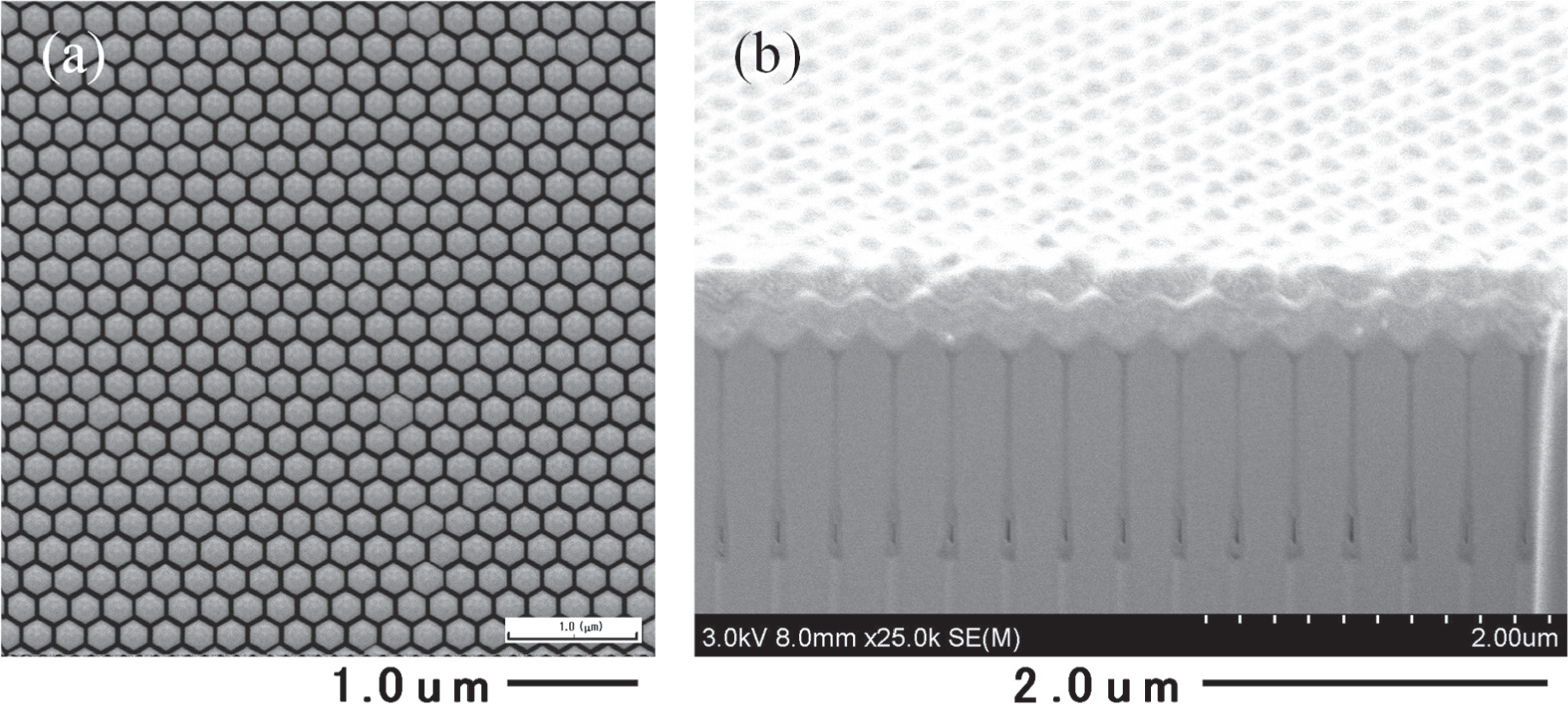 Bottom-up vertical GaN nanocolumn Schottky barrier diodes