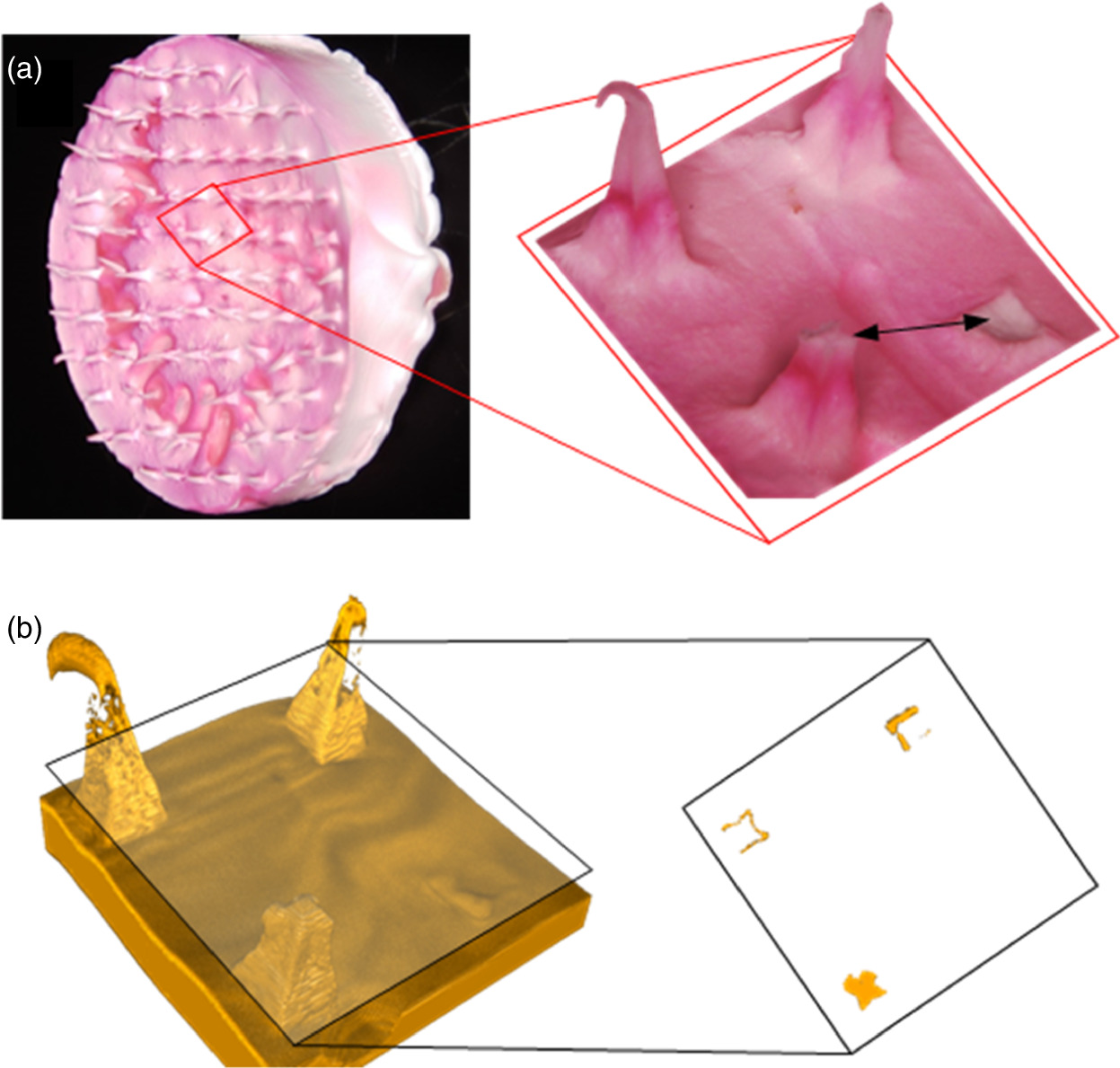 Increased mechanical stability and permeability by filling the ...
