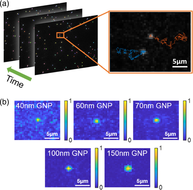 Accurate nanoparticle size measurement by combining photometry and ...