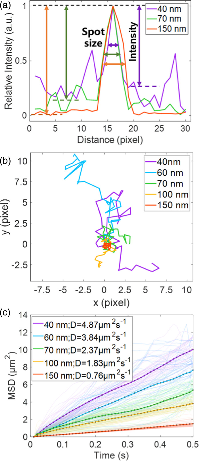 Accurate nanoparticle size measurement by combining photometry and ...