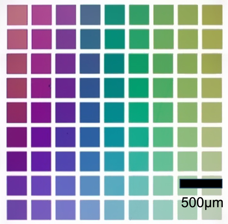 Development of electron beam lithography technique for large area nano ...