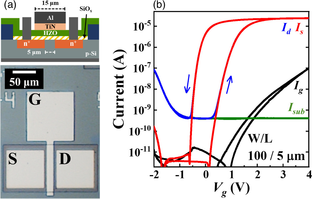 Standard image High-resolution image