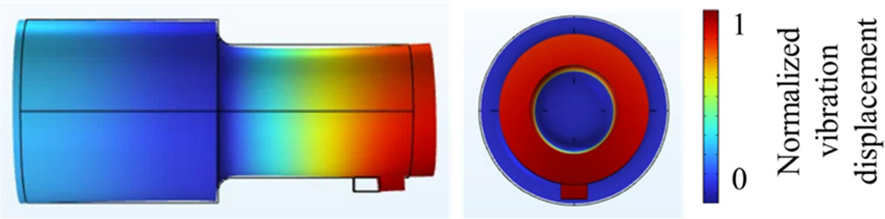 Ultrasonic complex vibration source equipped with a step horn with a ...