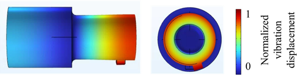Ultrasonic complex vibration source equipped with a step horn with a ...