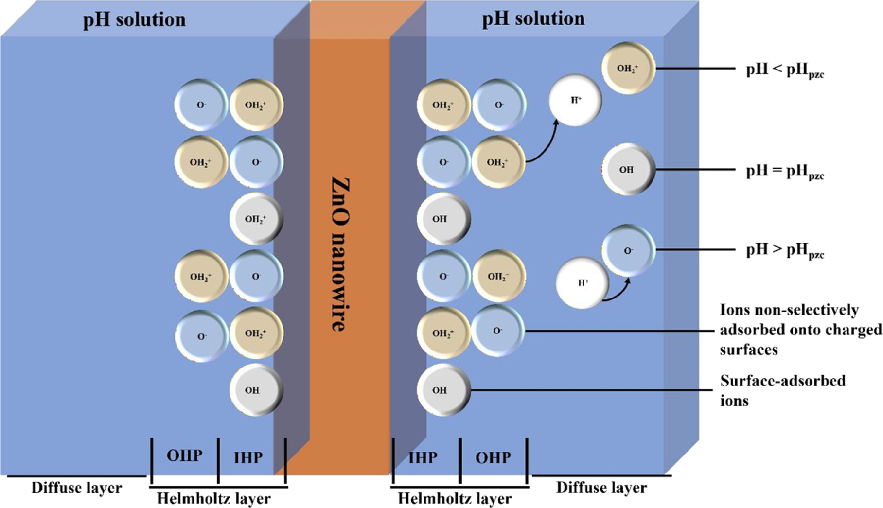 Zinc oxide (ZnO) nanowire by hydrothermal synthesis and its application ...