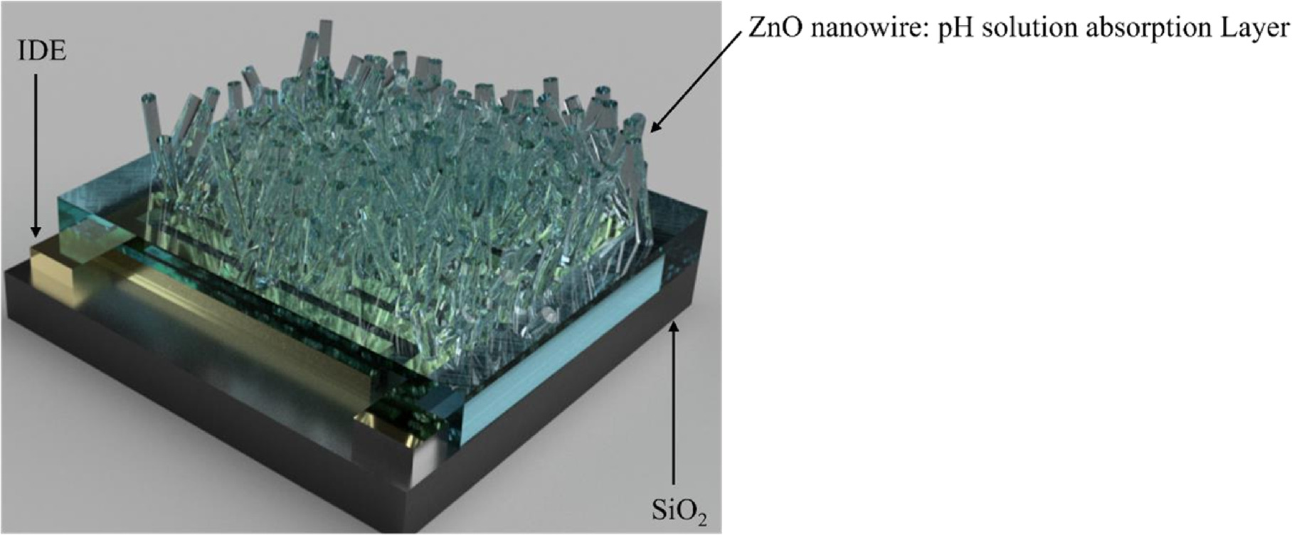 Zinc oxide (ZnO) nanowire by hydrothermal synthesis and its application ...