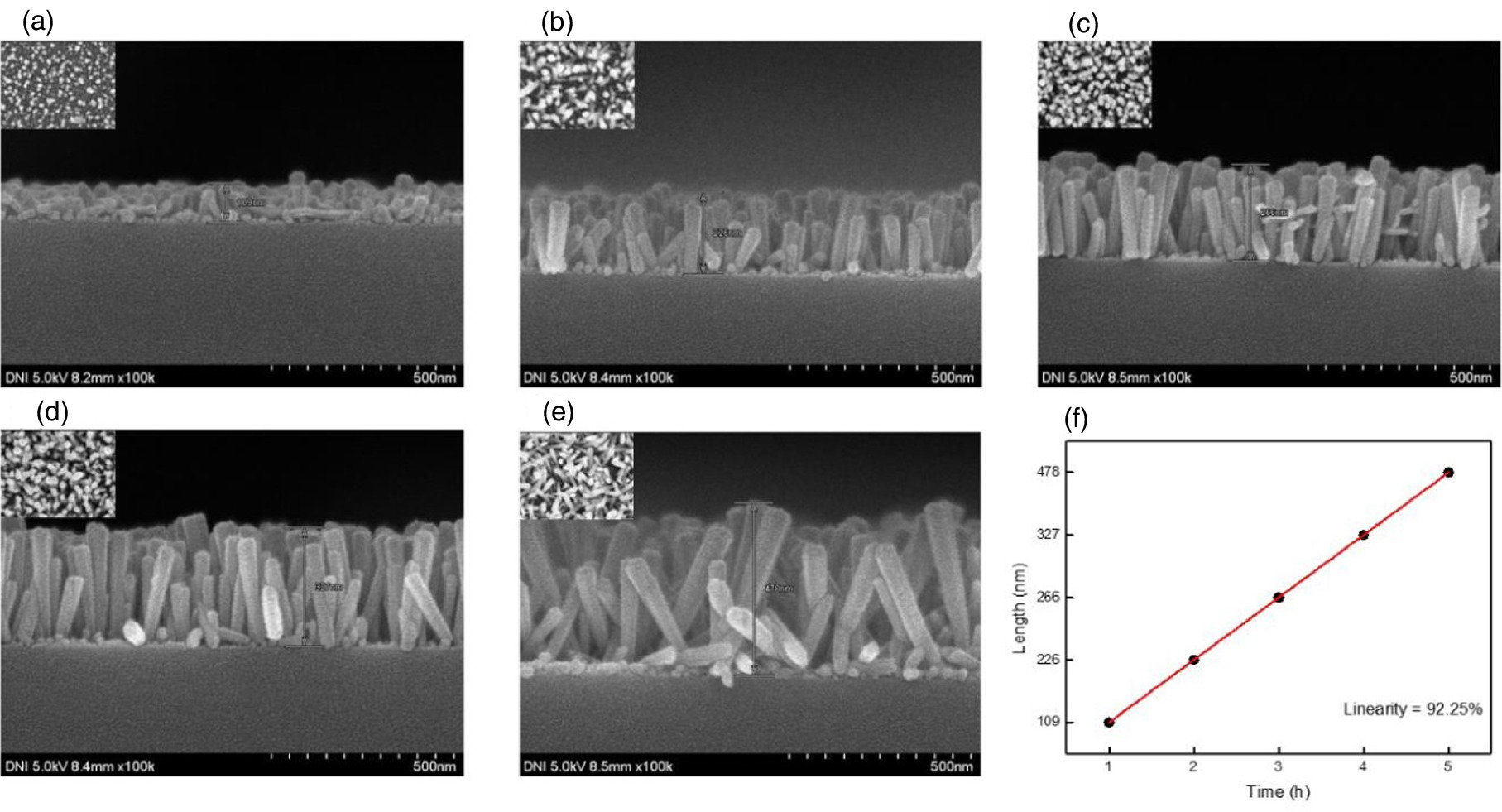 Zinc oxide (ZnO) nanowire by hydrothermal synthesis and its application ...