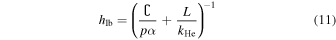 Equation (11)