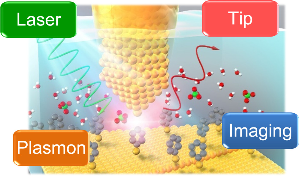 In situ and ex situ approaches for molecular scale understanding of ...