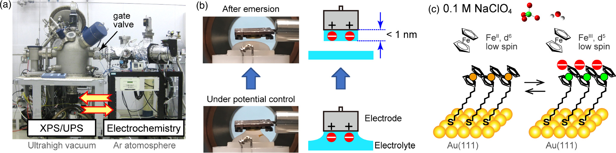 In situ and ex situ approaches for molecular scale understanding of ...