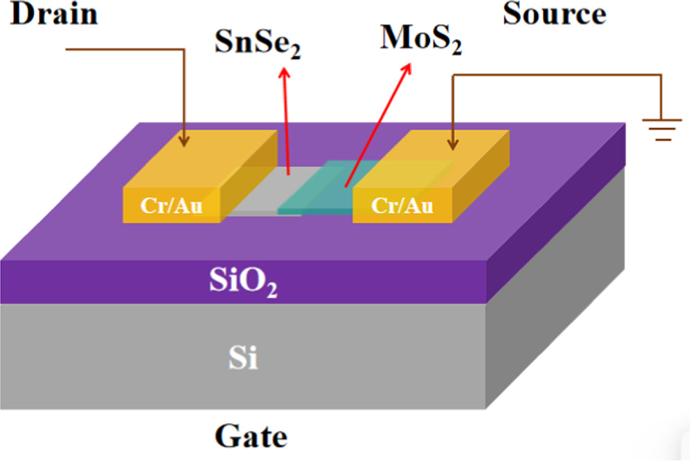 Emulation of optical and electrical synaptic functions in MoS2/SnSe2 ...