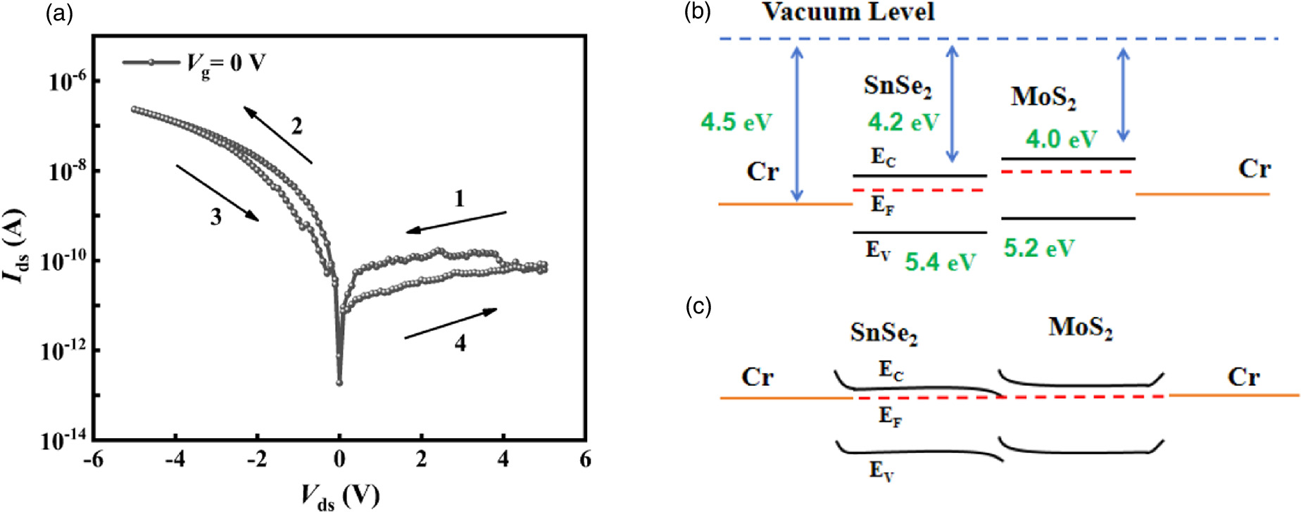 Emulation of optical and electrical synaptic functions in MoS2/SnSe2 ...