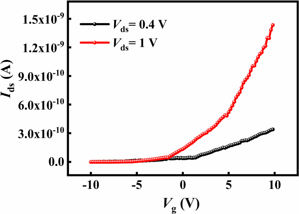 Emulation of optical and electrical synaptic functions in MoS2/SnSe2 ...