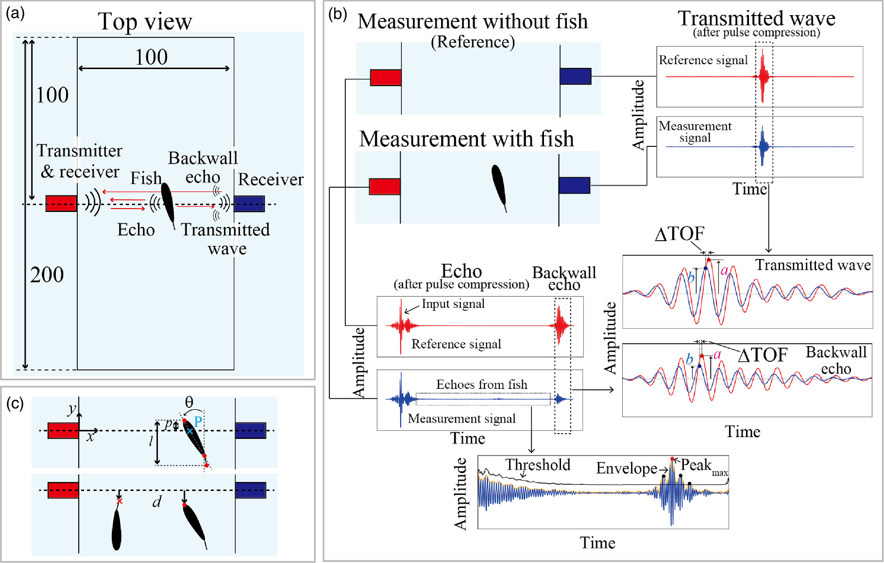 Detection of free-swimming fish passing through a narrow passage using ...