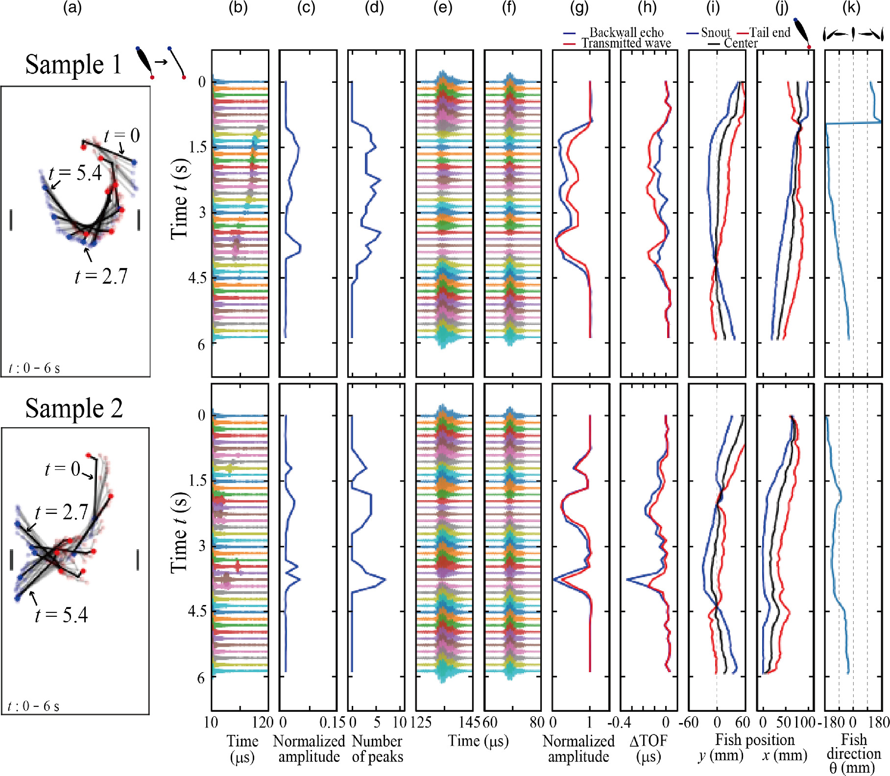 Detection of free-swimming fish passing through a narrow passage using ...