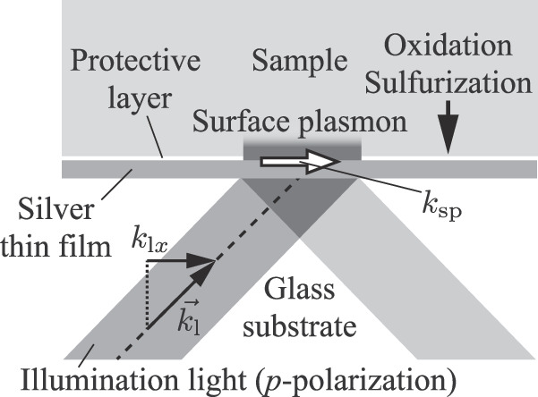 Deposition of a polymer thin film on a silver surface for surface ...