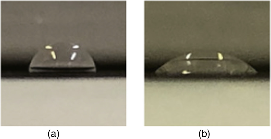Deposition of a polymer thin film on a silver surface for surface ...