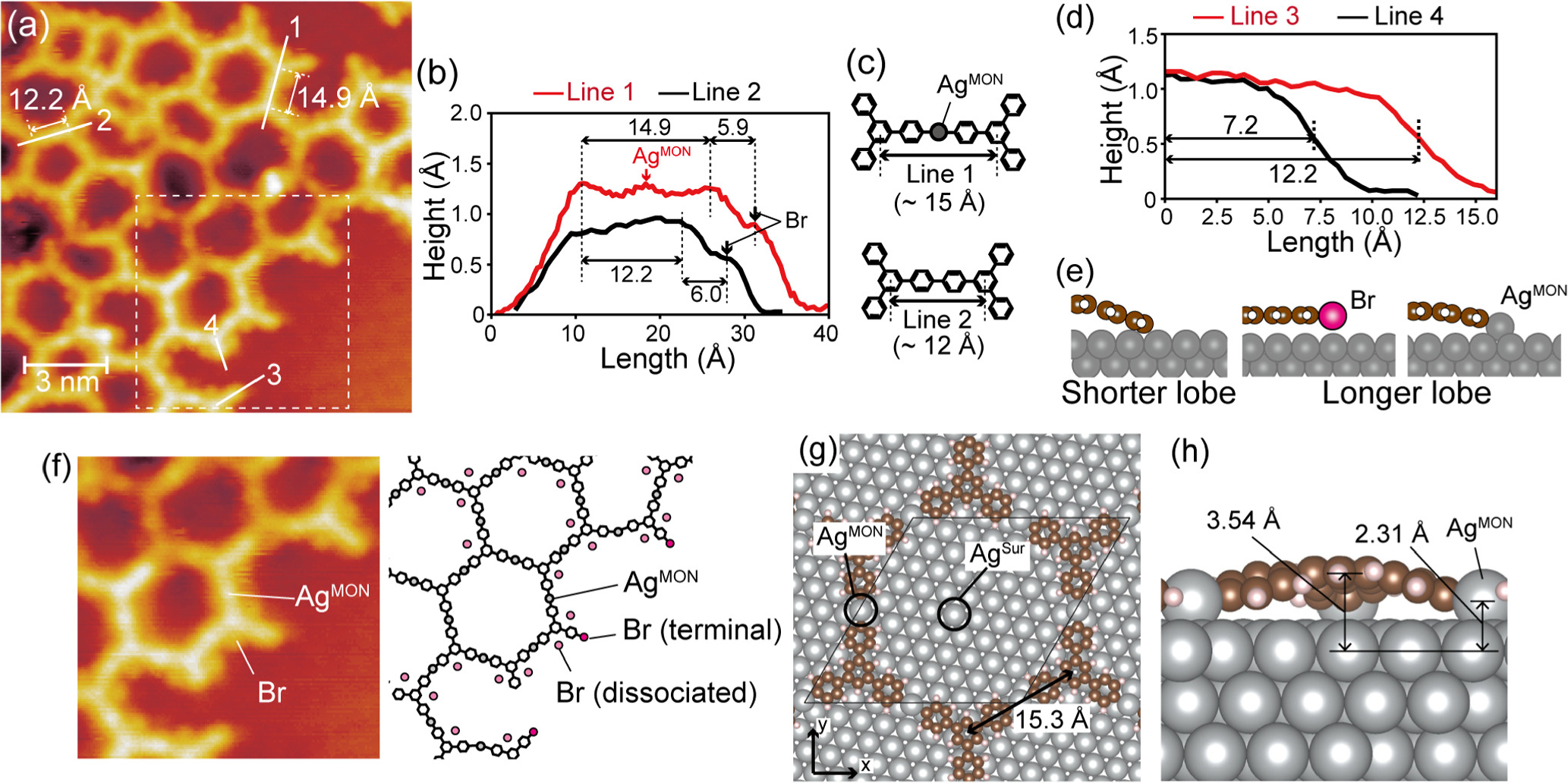 Element-specific cluster growth on the two-dimensional metal–organic ...