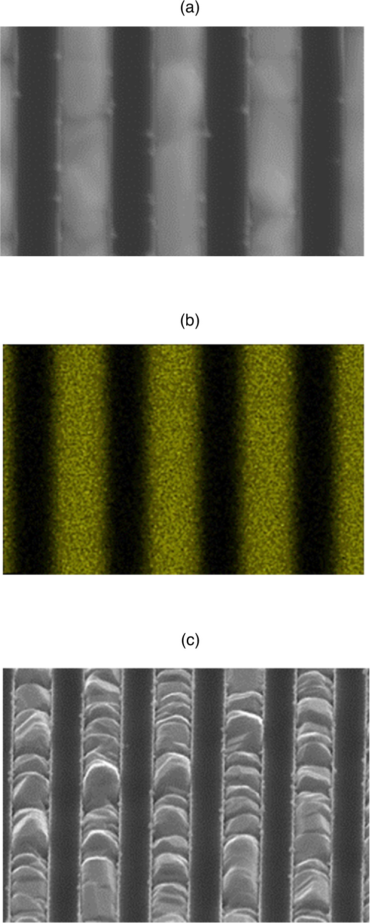 Fane Structure Selective Cu growth on fine structures using a Cu-iodide precursor ...