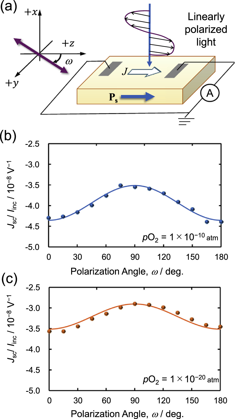 Bulk photovoltaic effect in Cu-doped LiNbO3 single crystals with