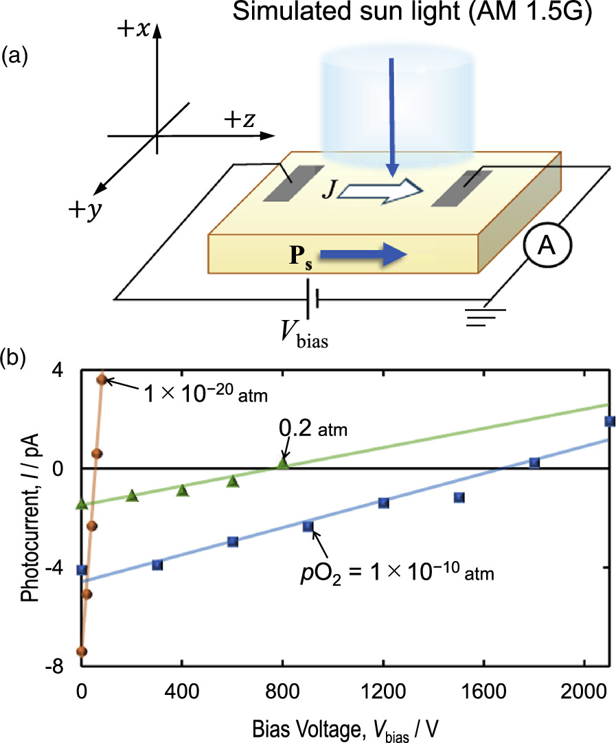 Bulk photovoltaic effect in Cu-doped LiNbO3 single crystals with
