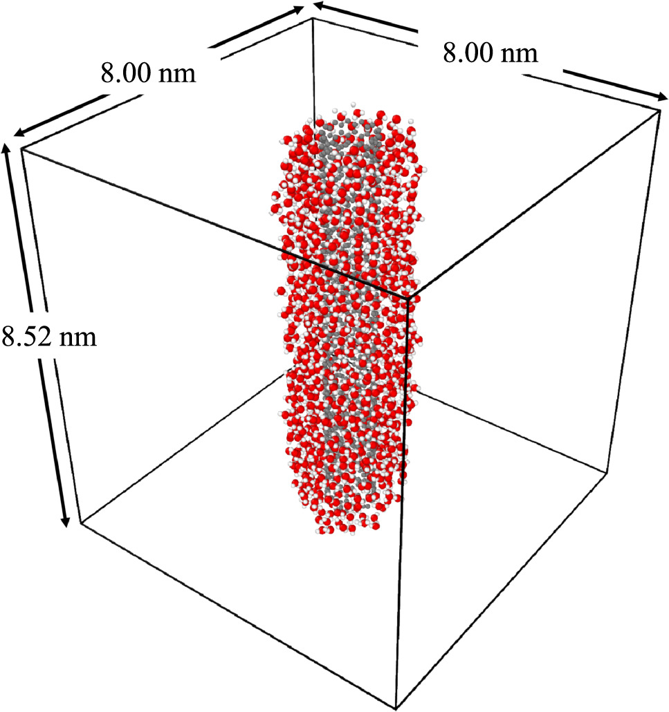 Structure and dynamics of adsorbed water on carbon nanotubes: a ...