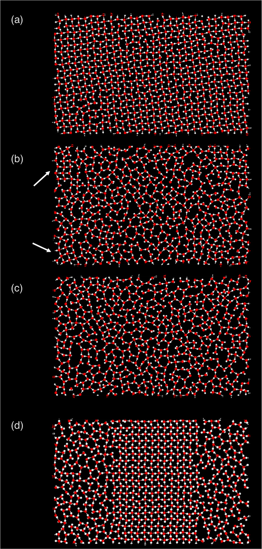 Structure and dynamics of adsorbed water on carbon nanotubes: a ...