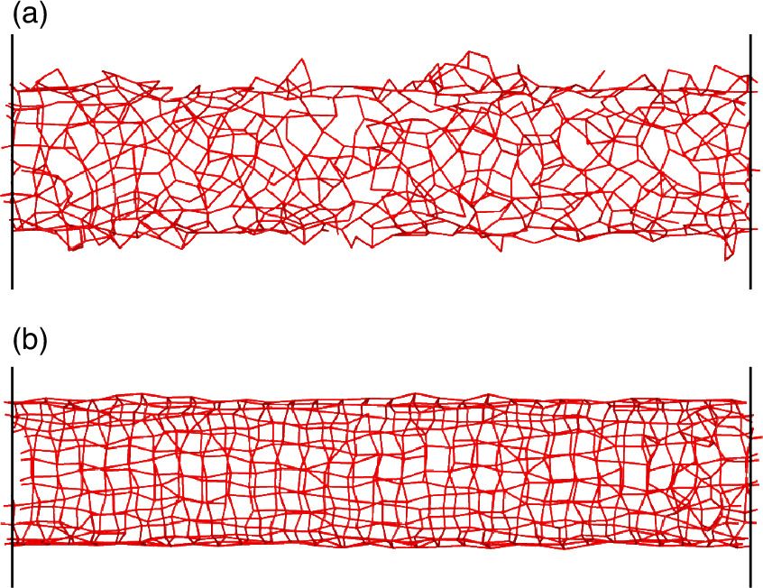 Structure and dynamics of adsorbed water on carbon nanotubes: a ...