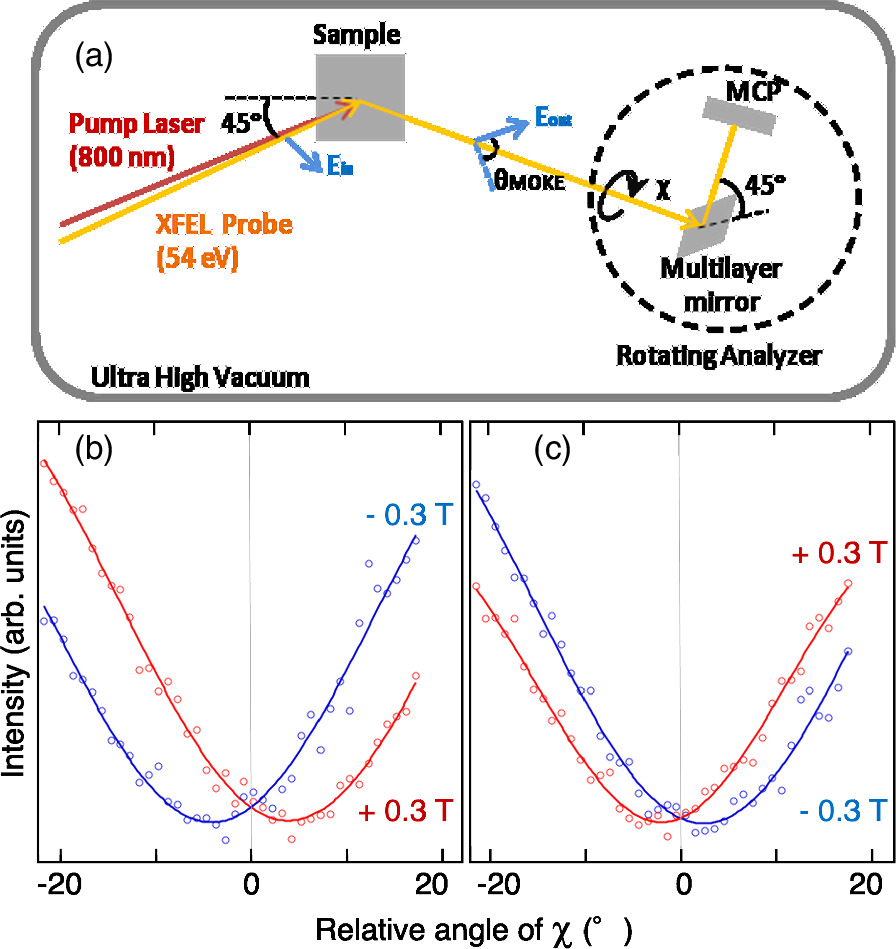 Evolution from ultrafast demagnetization to magnetization reversal at ...