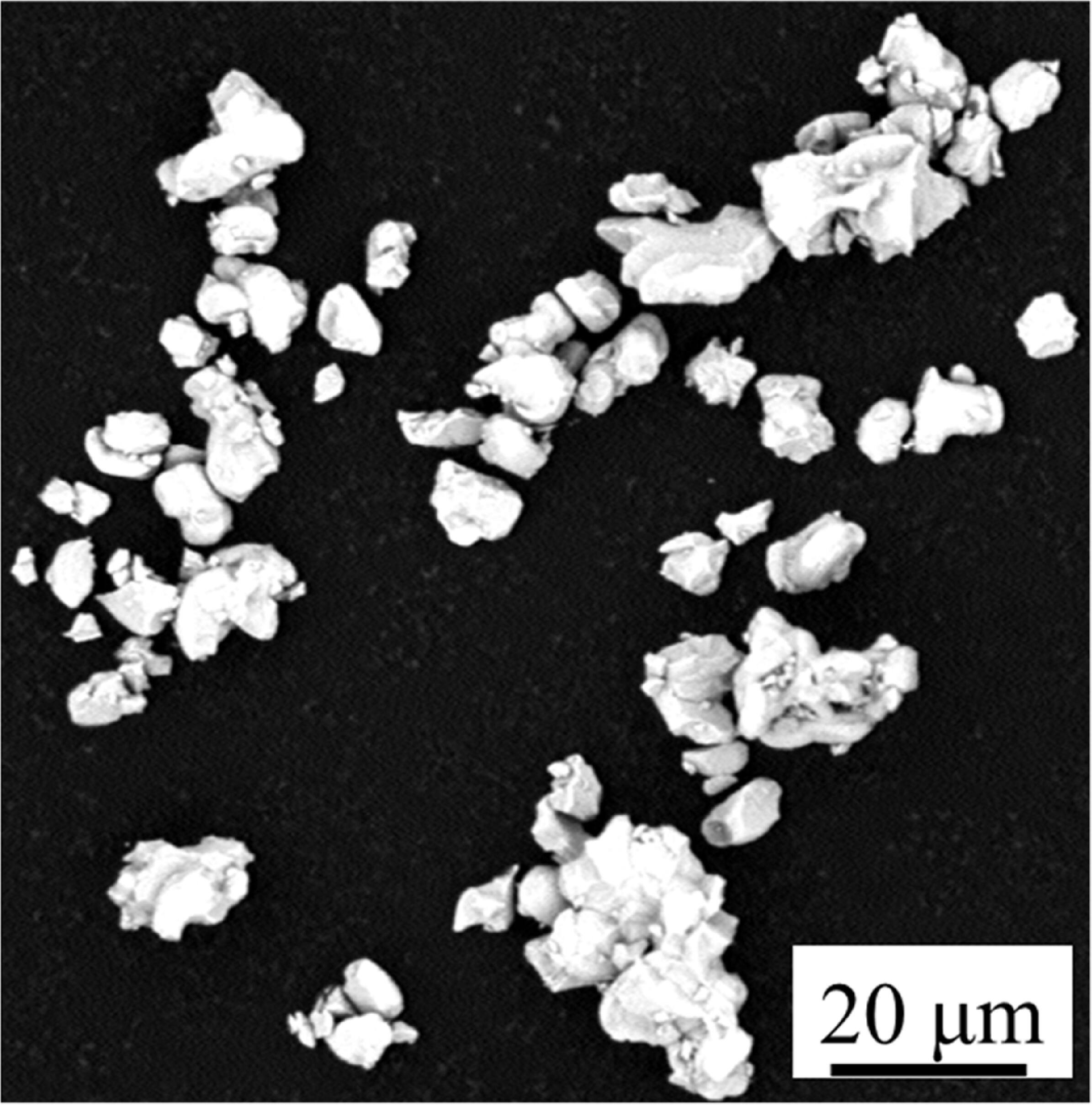 Biaxial magnetic alignment and orthorhombic twin microstructure in ...