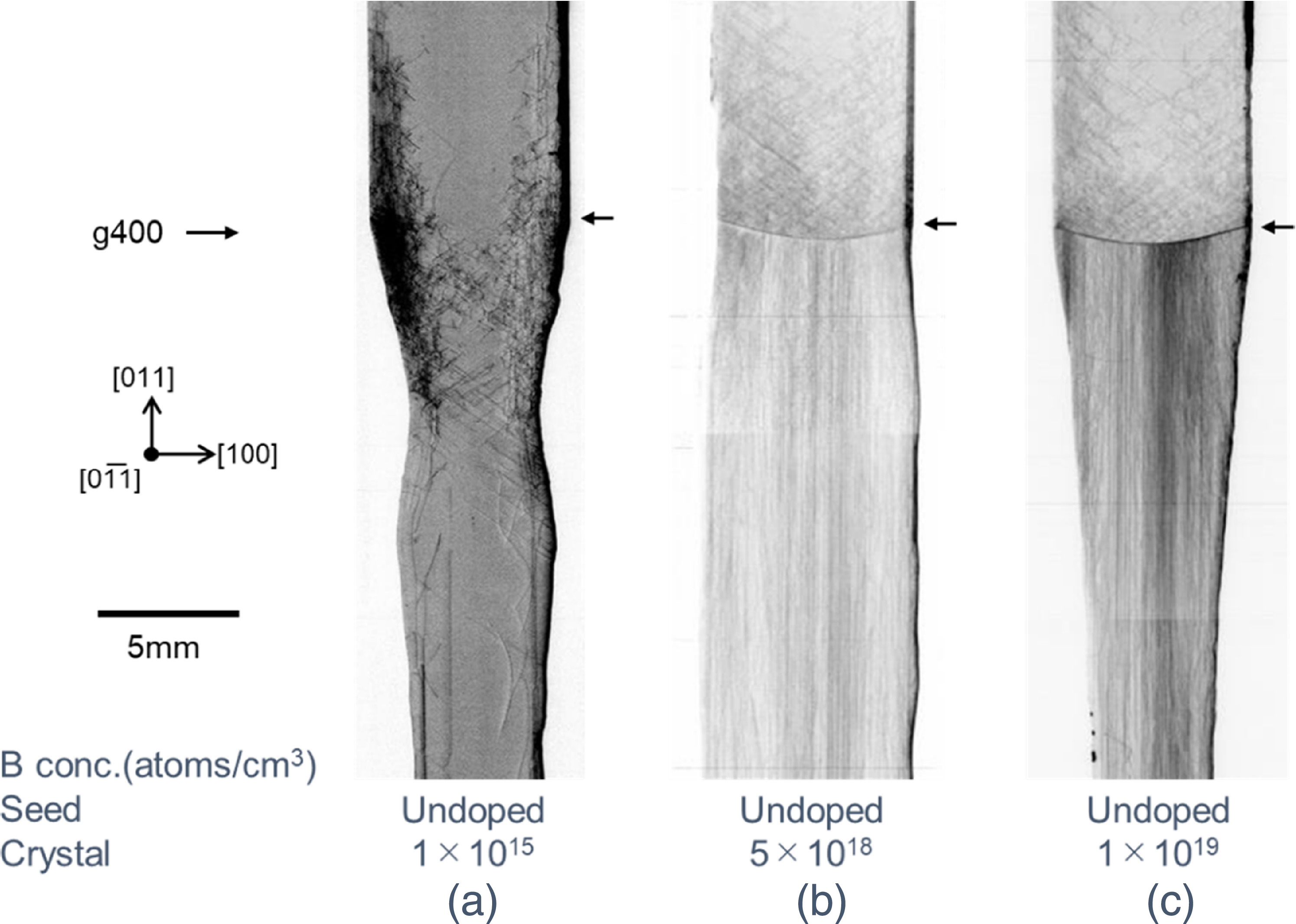 Dislocation behavior near the seeding interface in <110>-oriented