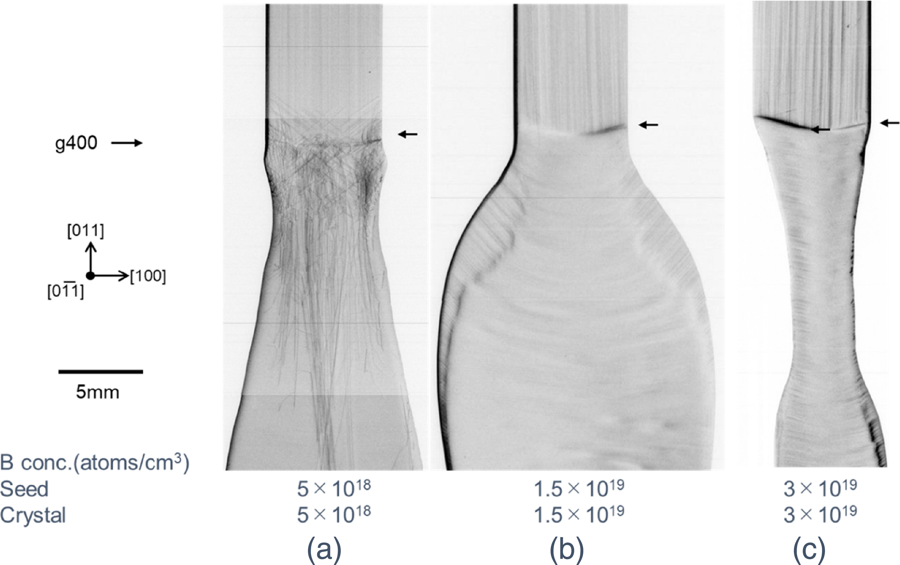 Dislocation behavior near the seeding interface in -oriented ...