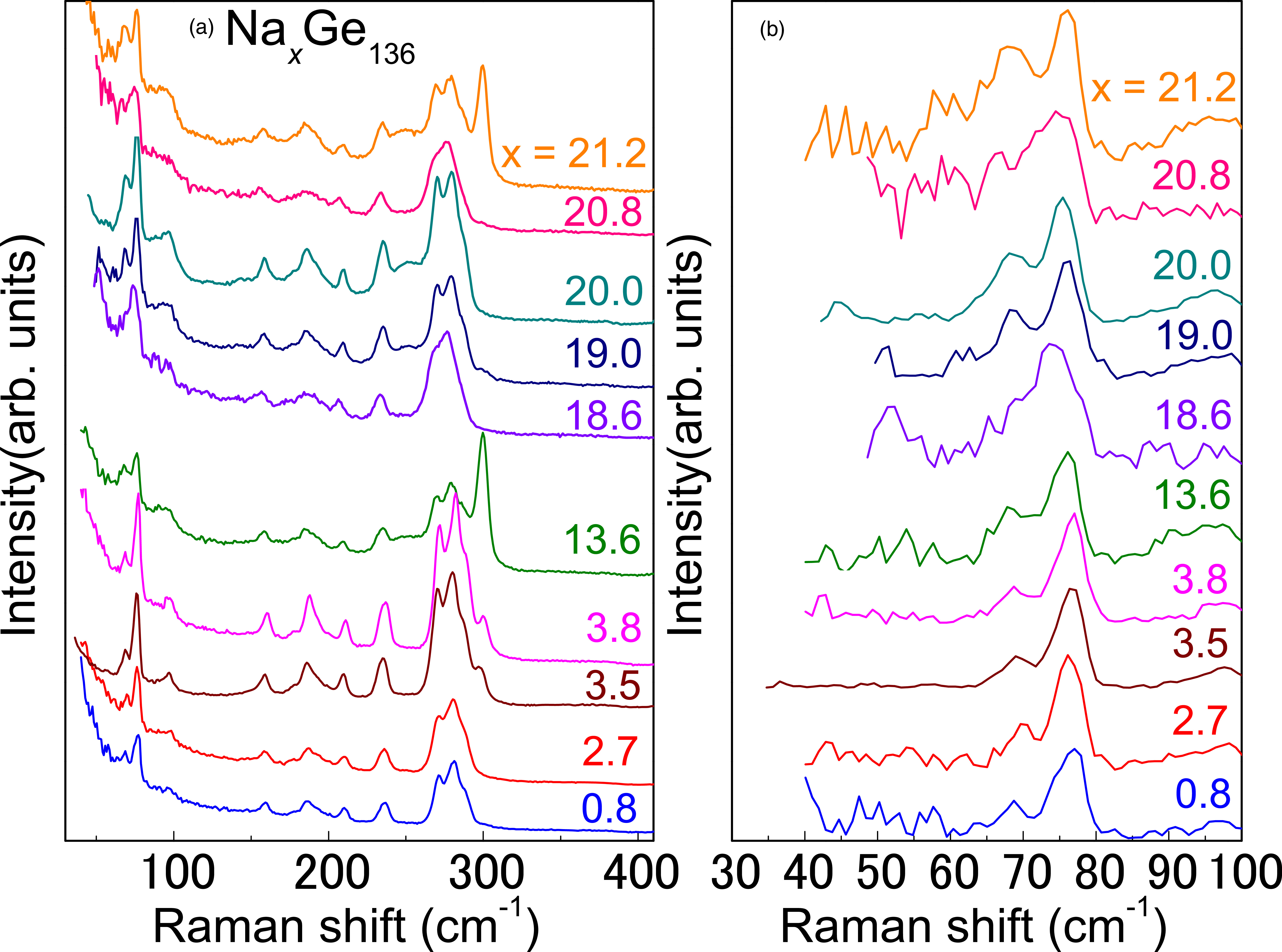 Low-energy vibrational spectroscopy of Na-containing type II