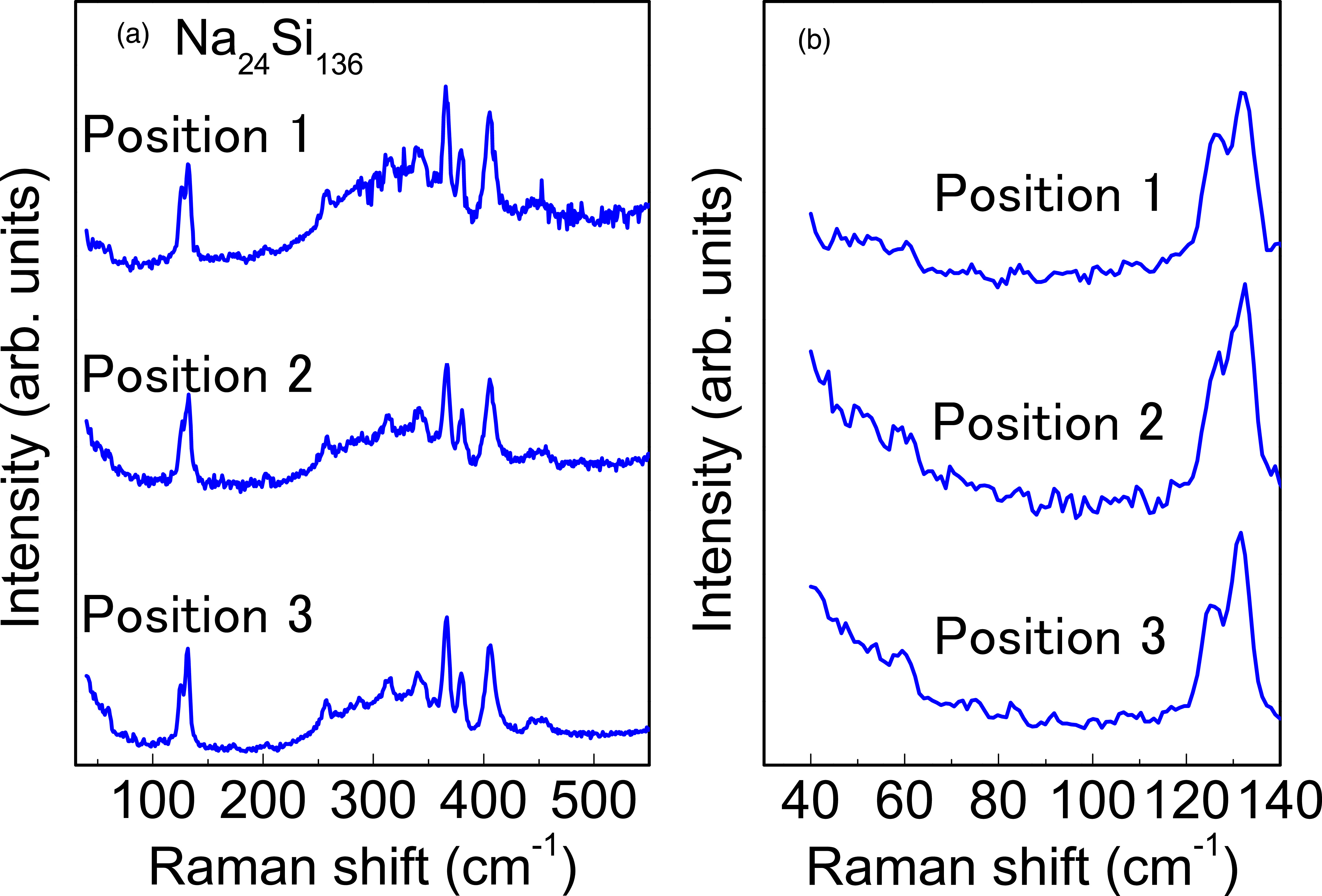 Low-energy vibrational spectroscopy of Na-containing type II