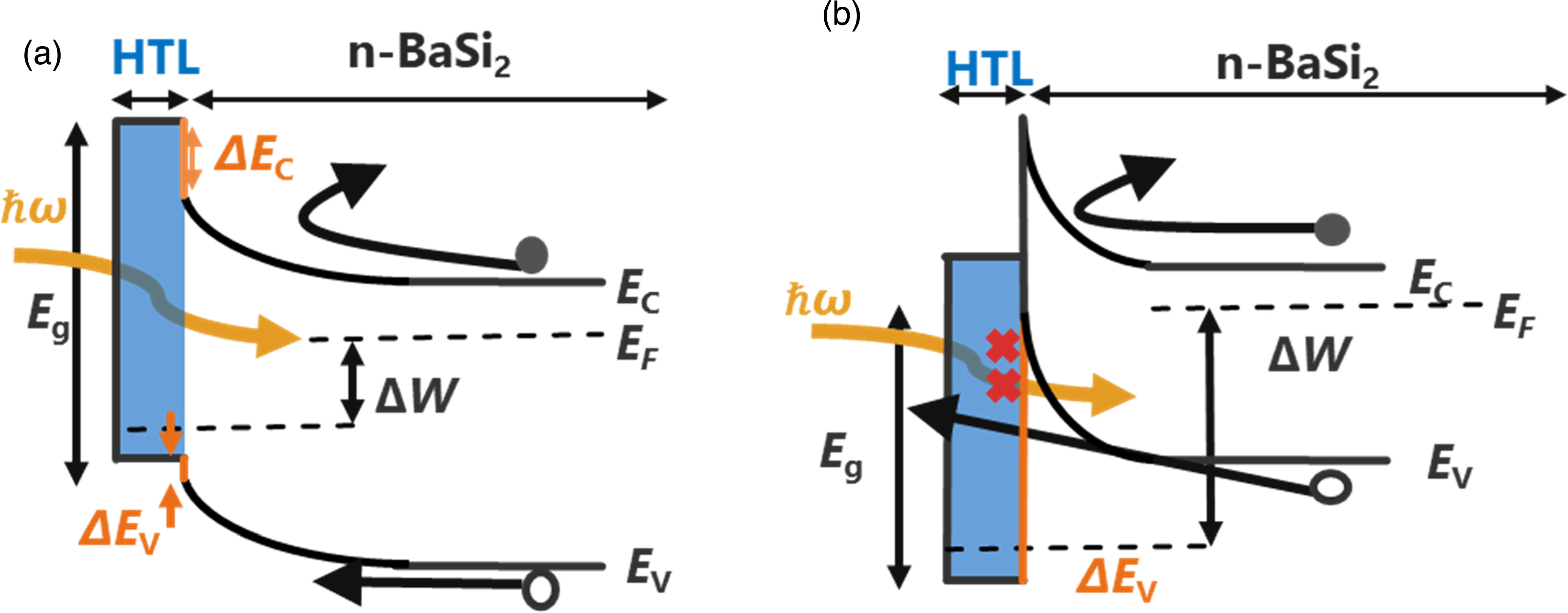 Investigation of hole transport layer and electron transport layer ...