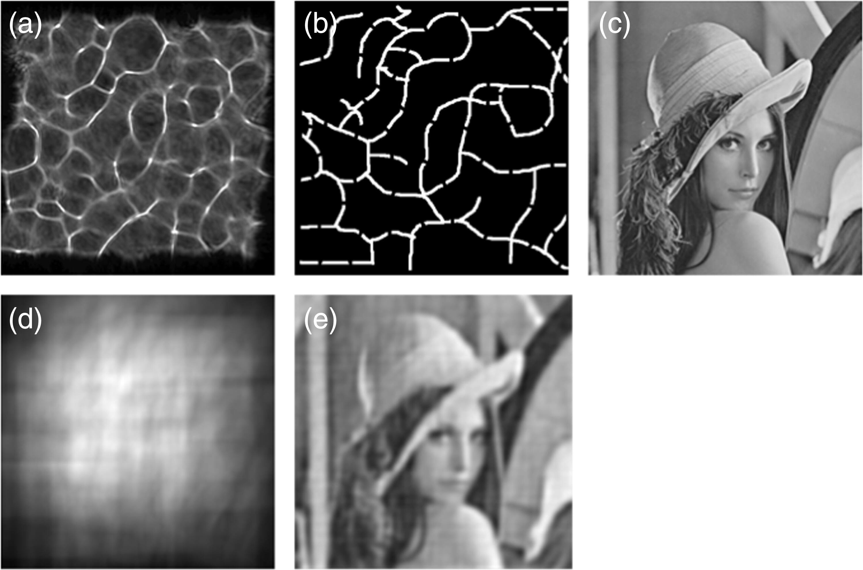 Backscattering X-ray imaging using a caustic network aperture - IOPscience
