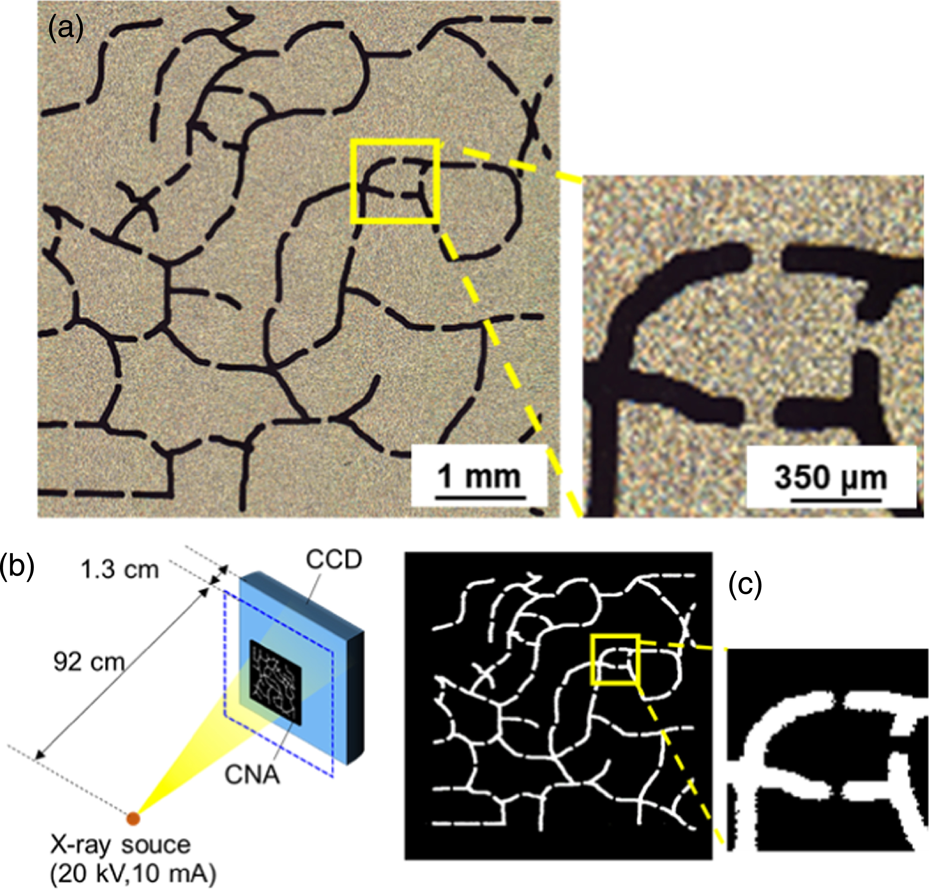 Backscattering X-ray imaging using a caustic network aperture - IOPscience
