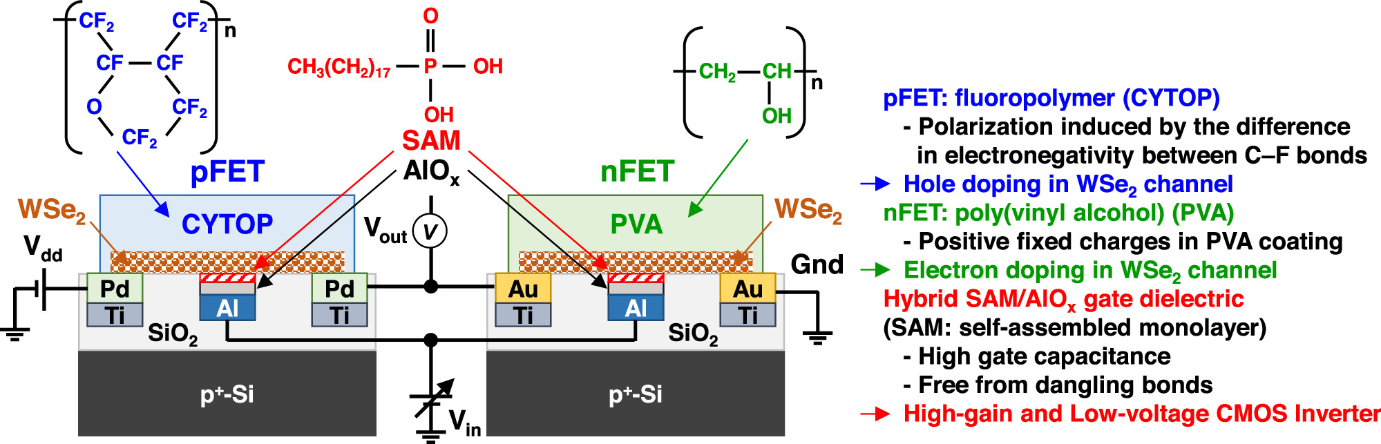 Fabrication of n-type and p-type WSe2 field-effect transistors and ...