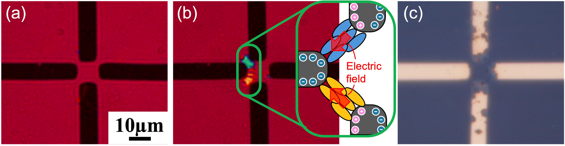 Physical reservoir operation utilizing polarization change in a liquid ...