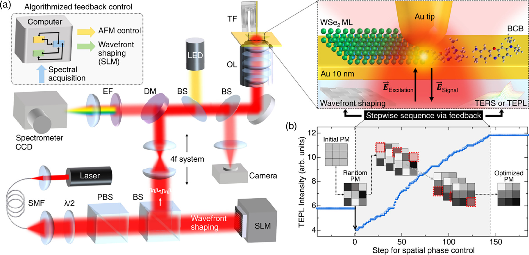 Advanced progress on tip-enhanced Raman spectroscopy and its ...