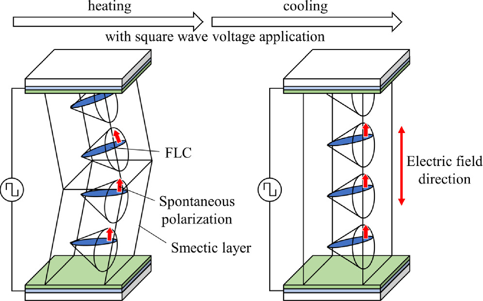 Low-voltage and high-speed ferroelectric liquid crystal devices for ...