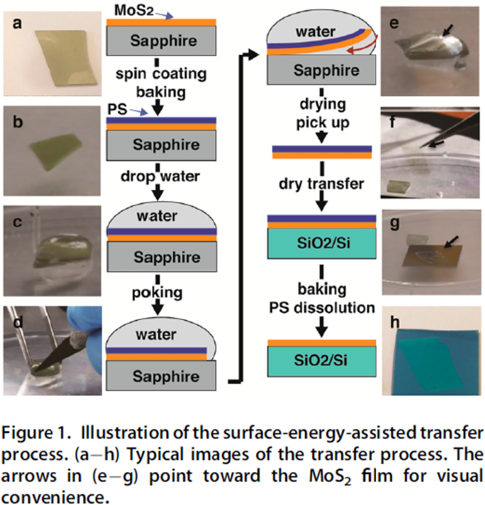 Molecular direct bonding and transfer of 2D MoS2 layer over a full 200 ...