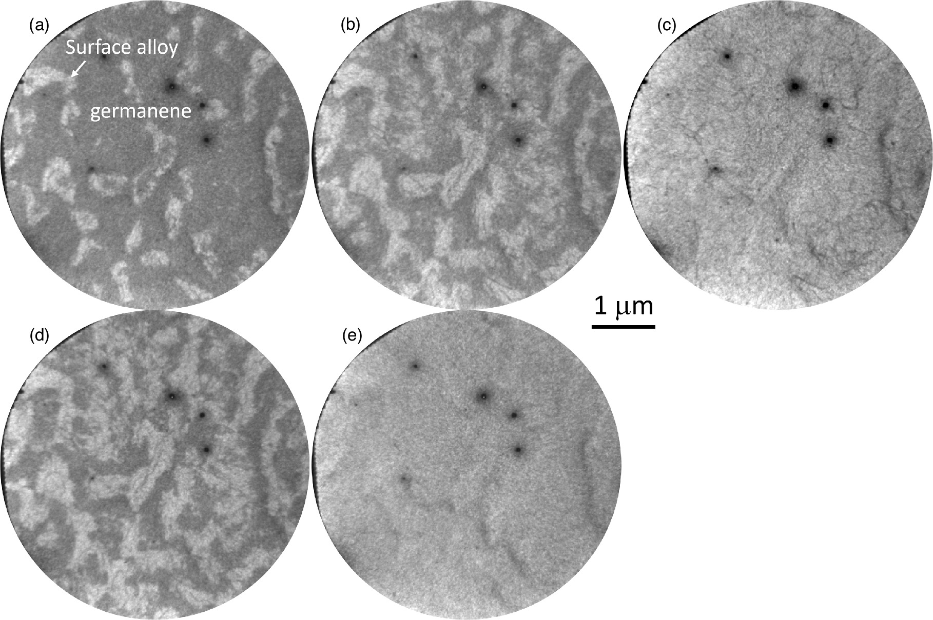Germanene Raman Low-energy electron microscopy investigation of germanene segregation ...